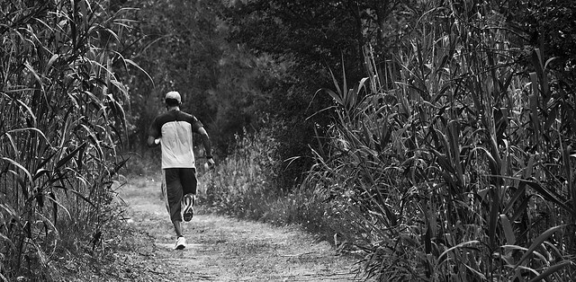 A man runs through a cornfield as he uses exercise to reinvent sobriety